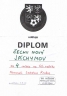 0212-Diplom-2008- Nižbor.JPG - 